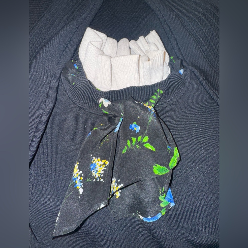 Sandro Clemence Ruffle Scarf Collar Dress - Small - Picture 4 of 6